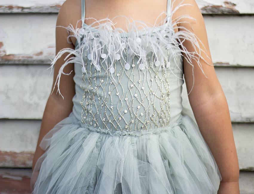 Silver tutu shop dress